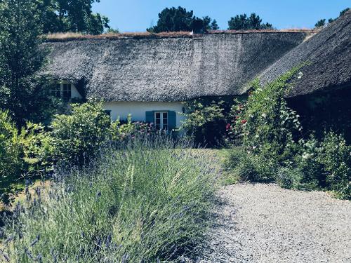 Herbignac Loire-Atlantique house picture 4150942