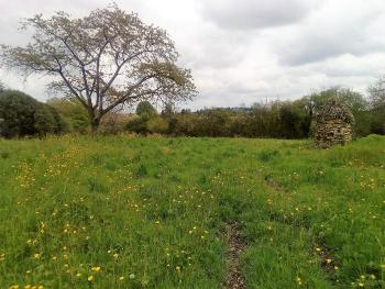 Les Rairies Maine-et-Loire terrain picture 4744820