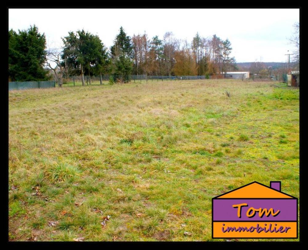 Ham-sous-Varsberg Moselle terrain picture 4915082