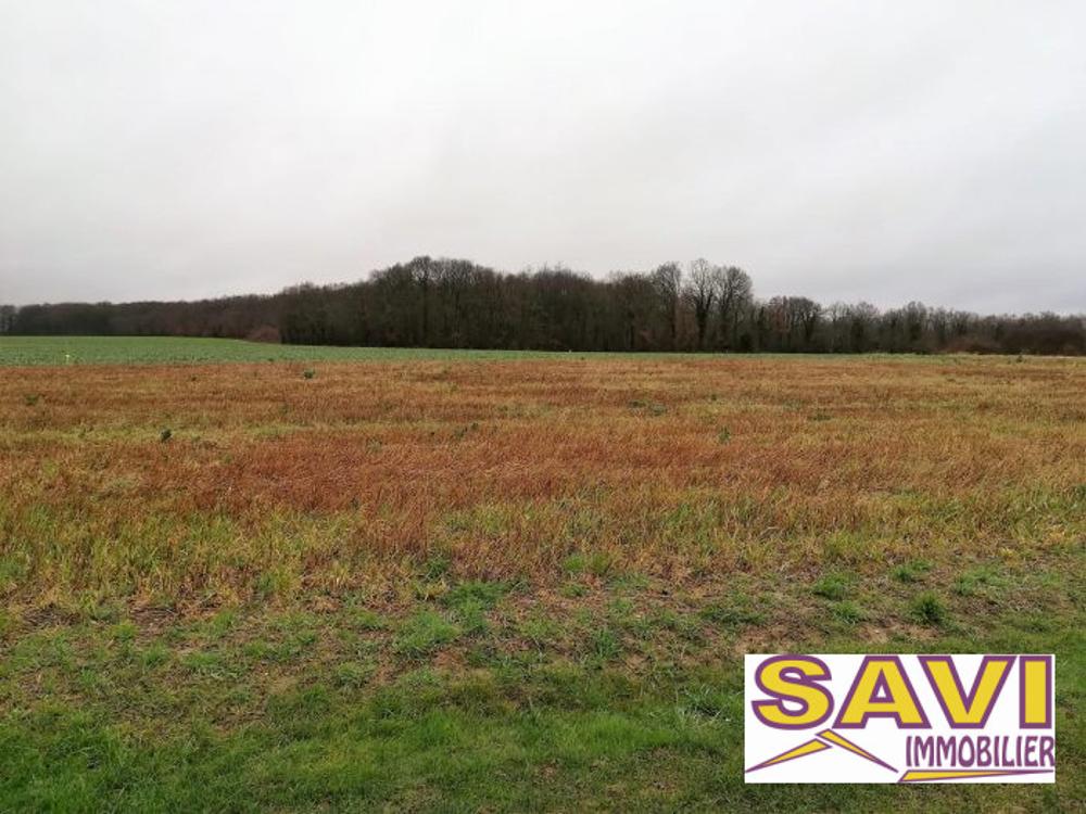 La Selle-sur-le-Bied Loiret terrain picture 5659356