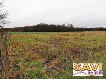 La Selle-sur-le-Bied Loiret terrain picture 5659358