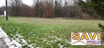 Nargis Loiret terrain picture 5659361