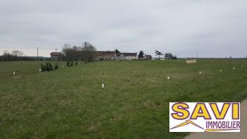 Saint-Loup-de-Gonois Loiret terrain picture 5659353