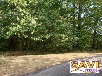 La Selle-sur-le-Bied Loiret terrain picture 5659350