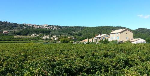 Vaison-la-Romaine Vaucluse estate picture 5708694