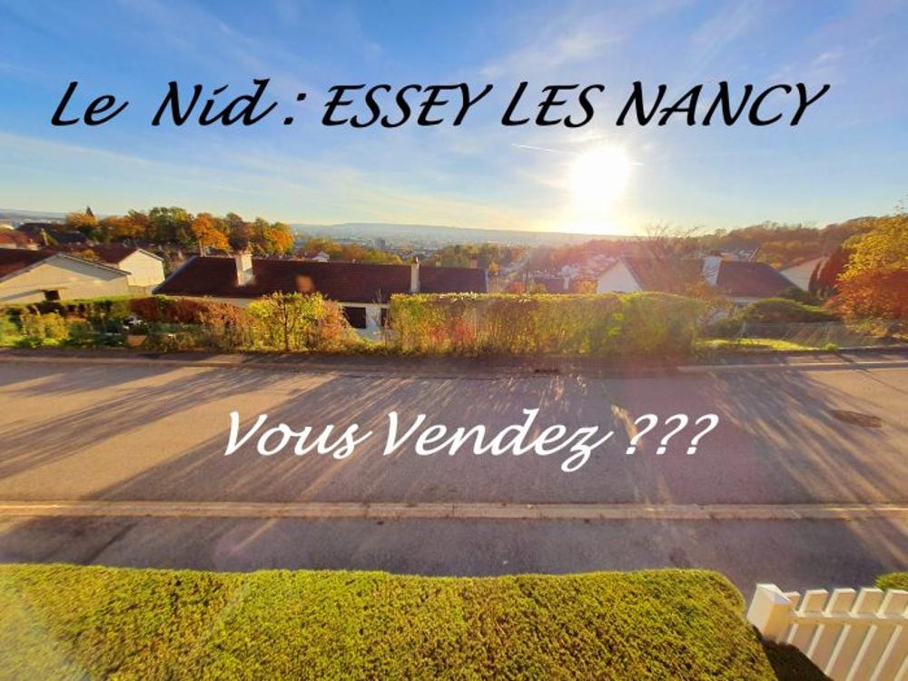 Essey-lès-Nancy Meurthe-et-Moselle house picture 5963777