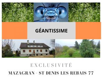 Saint-Denis-lès-Rebais Seine-et-Marne house picture 6054461