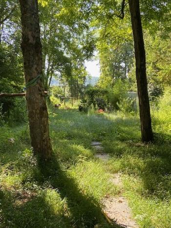 Montreuil-aux-Lions Aisne terrain picture 6076826