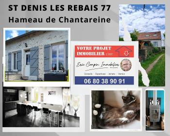 Saint-Denis-lès-Rebais Seine-et-Marne house picture 6083602