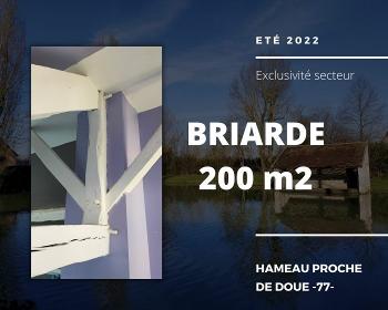 Saint-Denis-lès-Rebais Seine-et-Marne house picture 6068223
