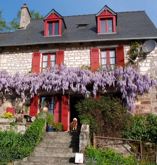 Saint-Bonnet-la-Rivière Corrèze property with holiday home foto