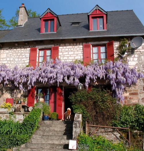 Saint-Bonnet-la-Rivière Corrèze property with holiday home picture 6466676