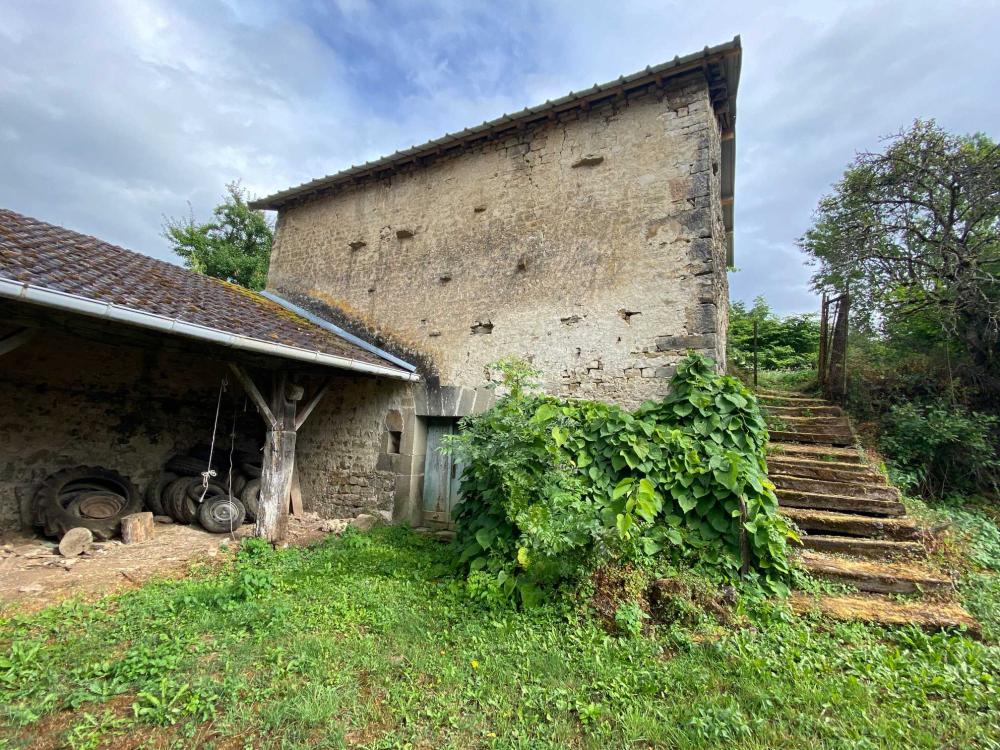  for sale village farm Ainvelle Haute-Saône 26