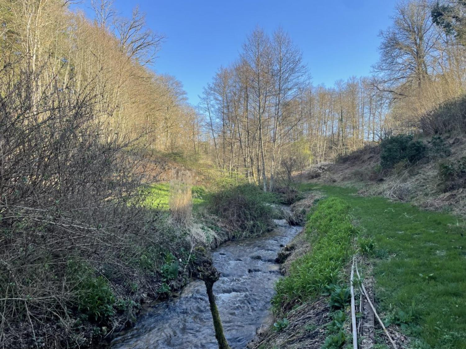  for sale detached house Peyrat-le-Château Haute-Vienne 17