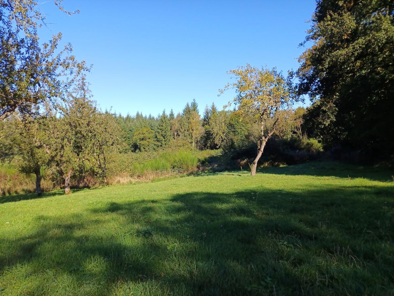  for sale terrain Magnat-l'Étrange Creuse 37