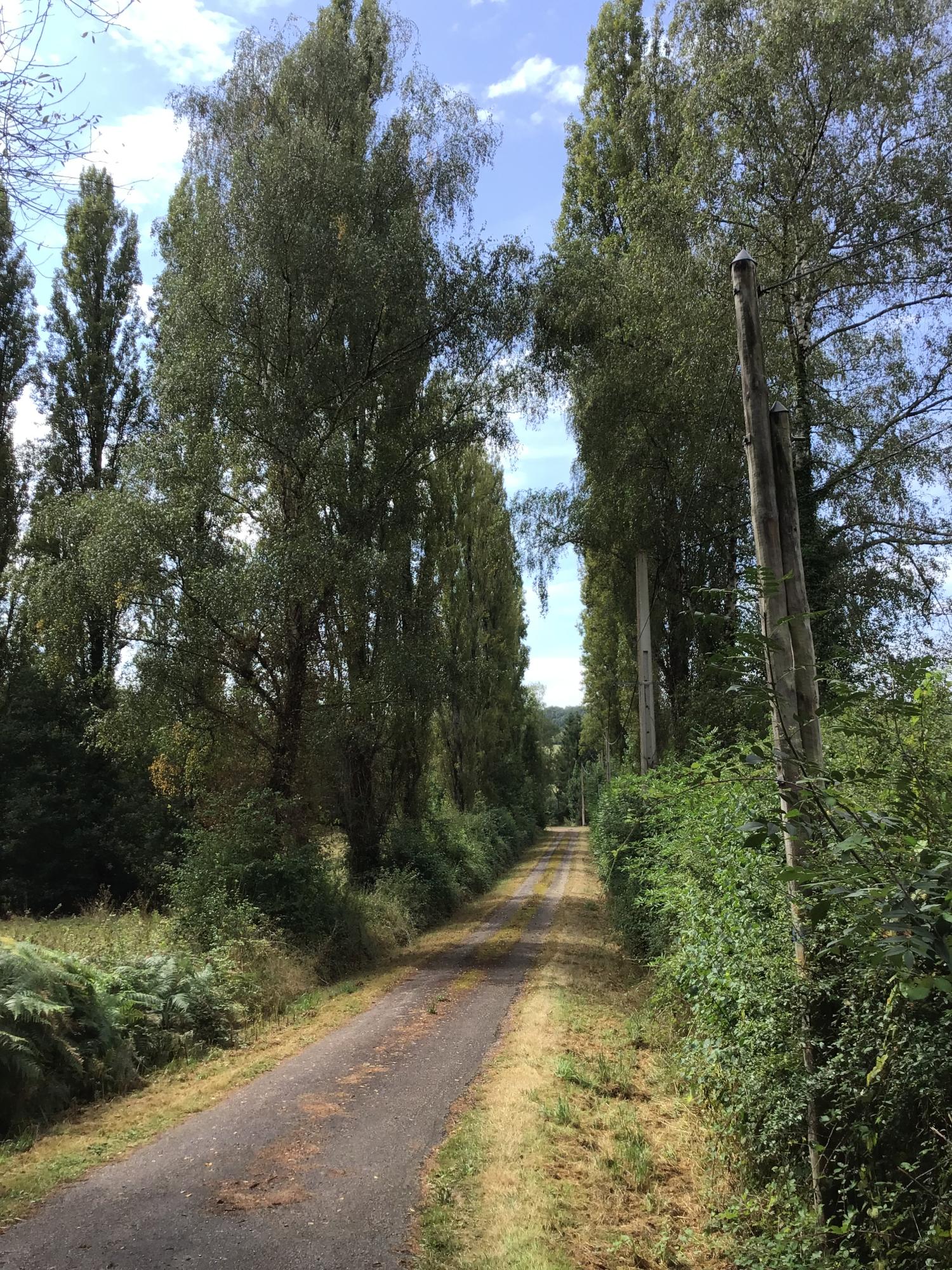  for sale detached house Abzac Charente 4