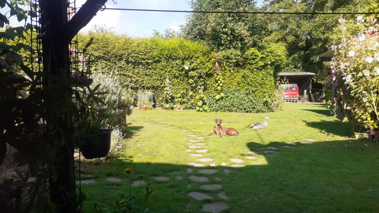  for sale village house Bailleul Orne 3