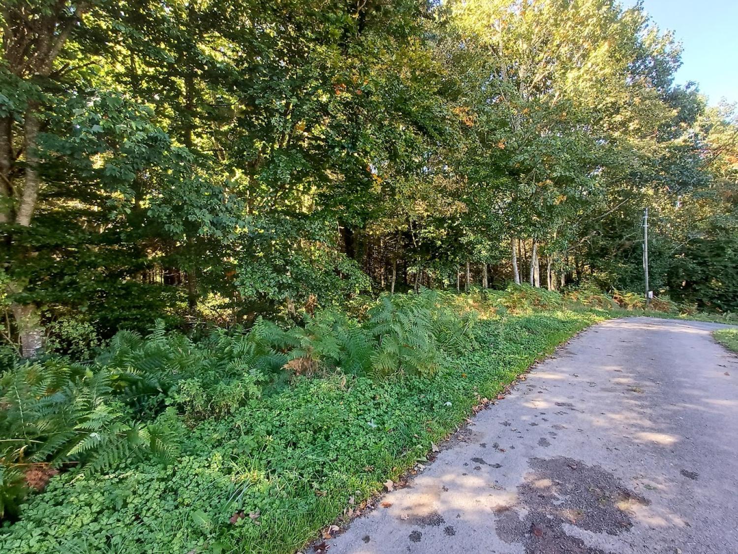  for sale terrain Magnat-l'Étrange Creuse 40