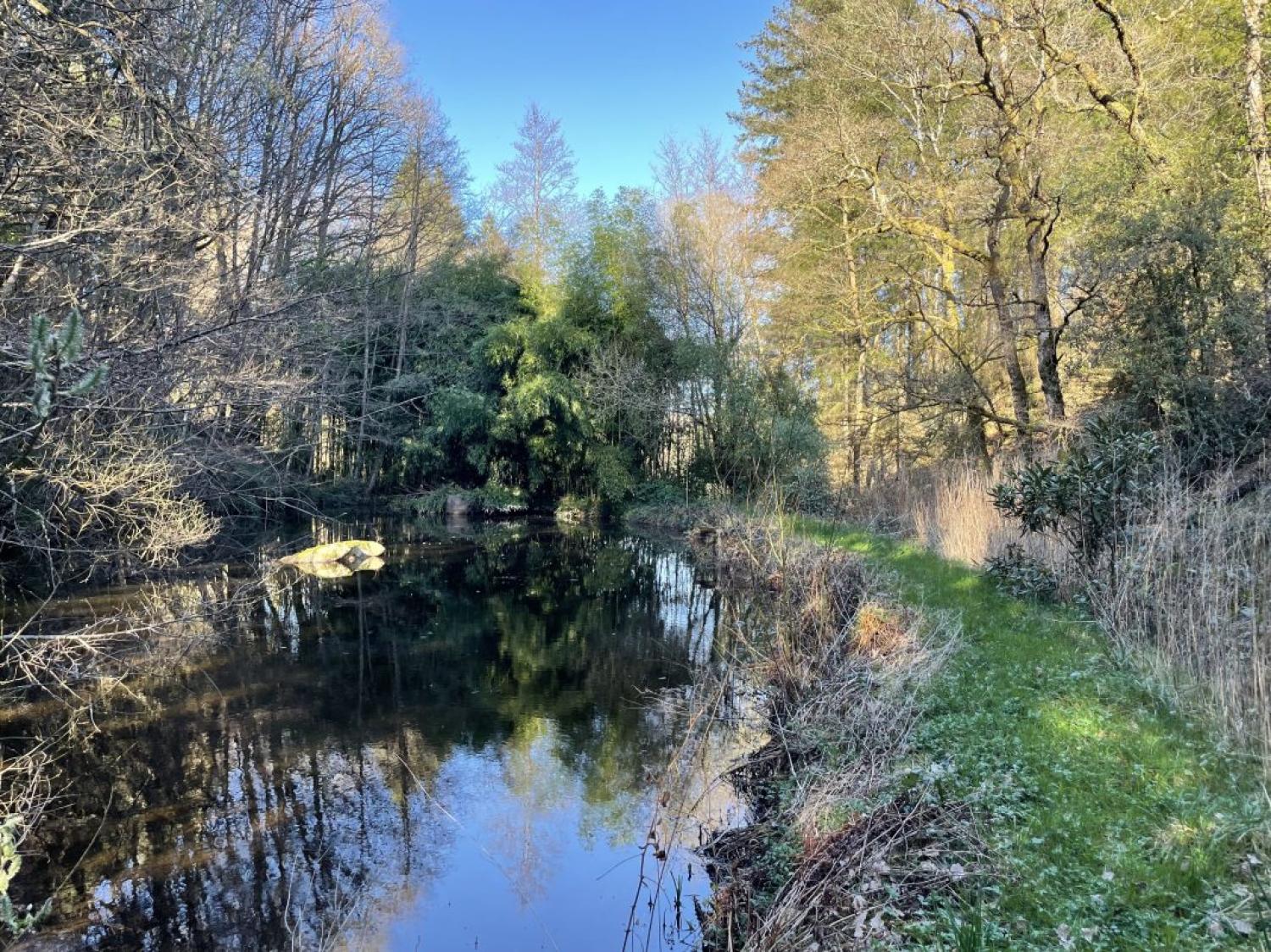  for sale detached house Peyrat-le-Château Haute-Vienne 16