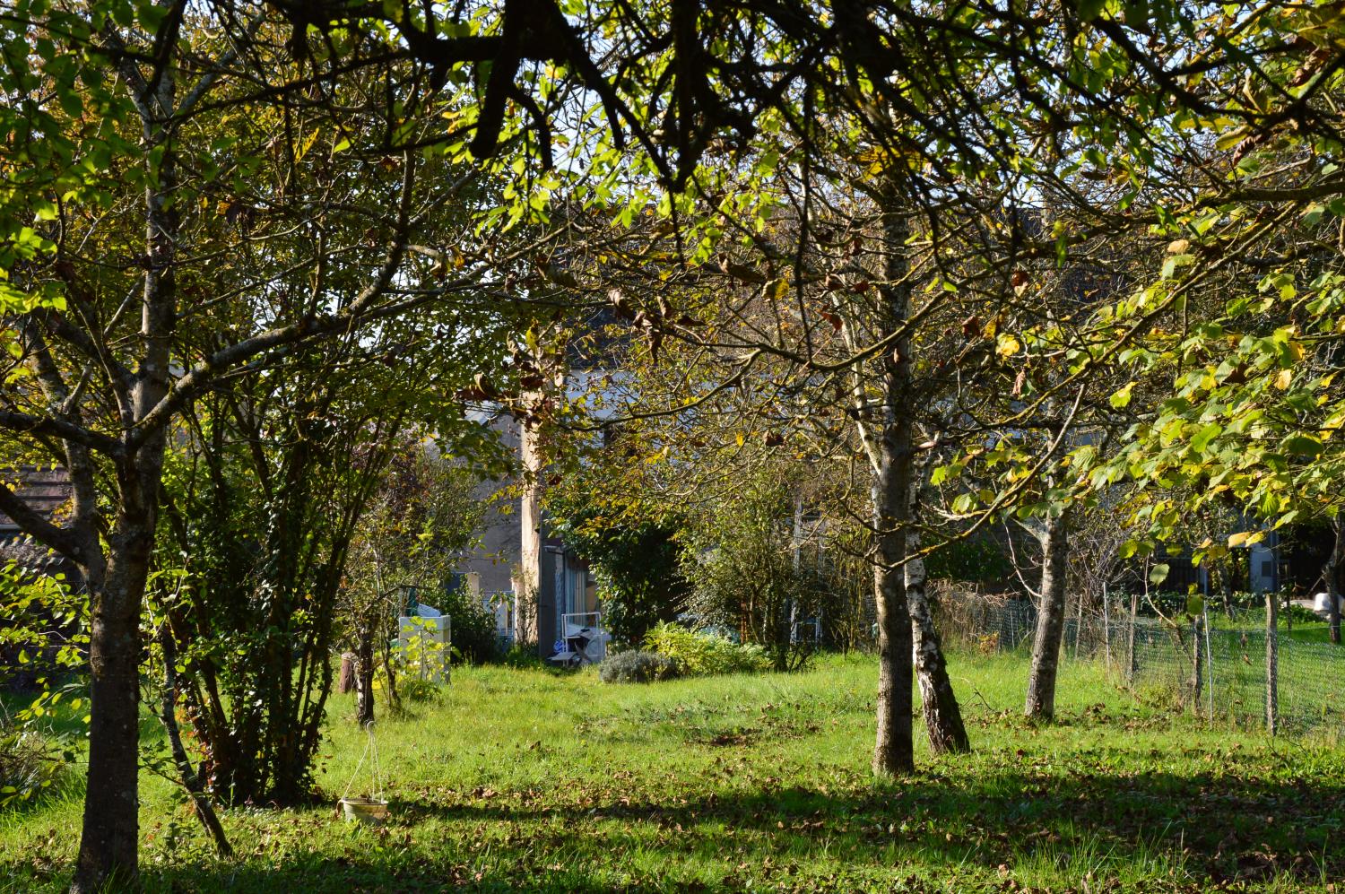  for sale house Mesves-sur-Loire Nièvre 3