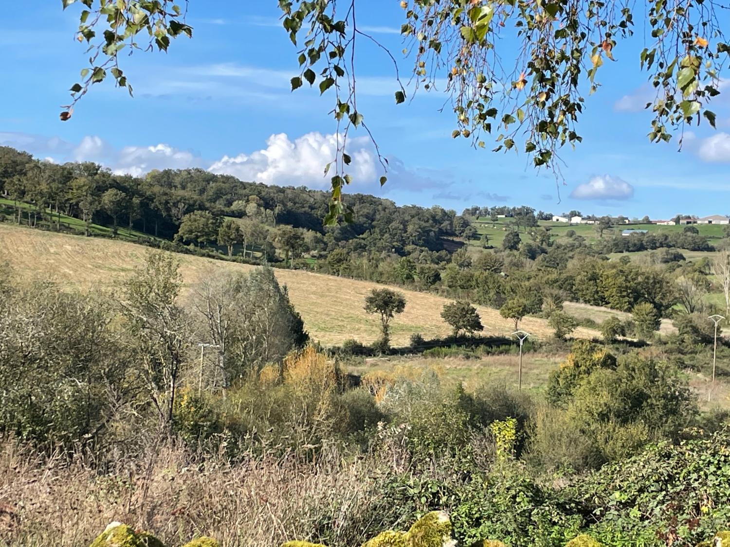  for sale house Servant Puy-de-Dôme 28
