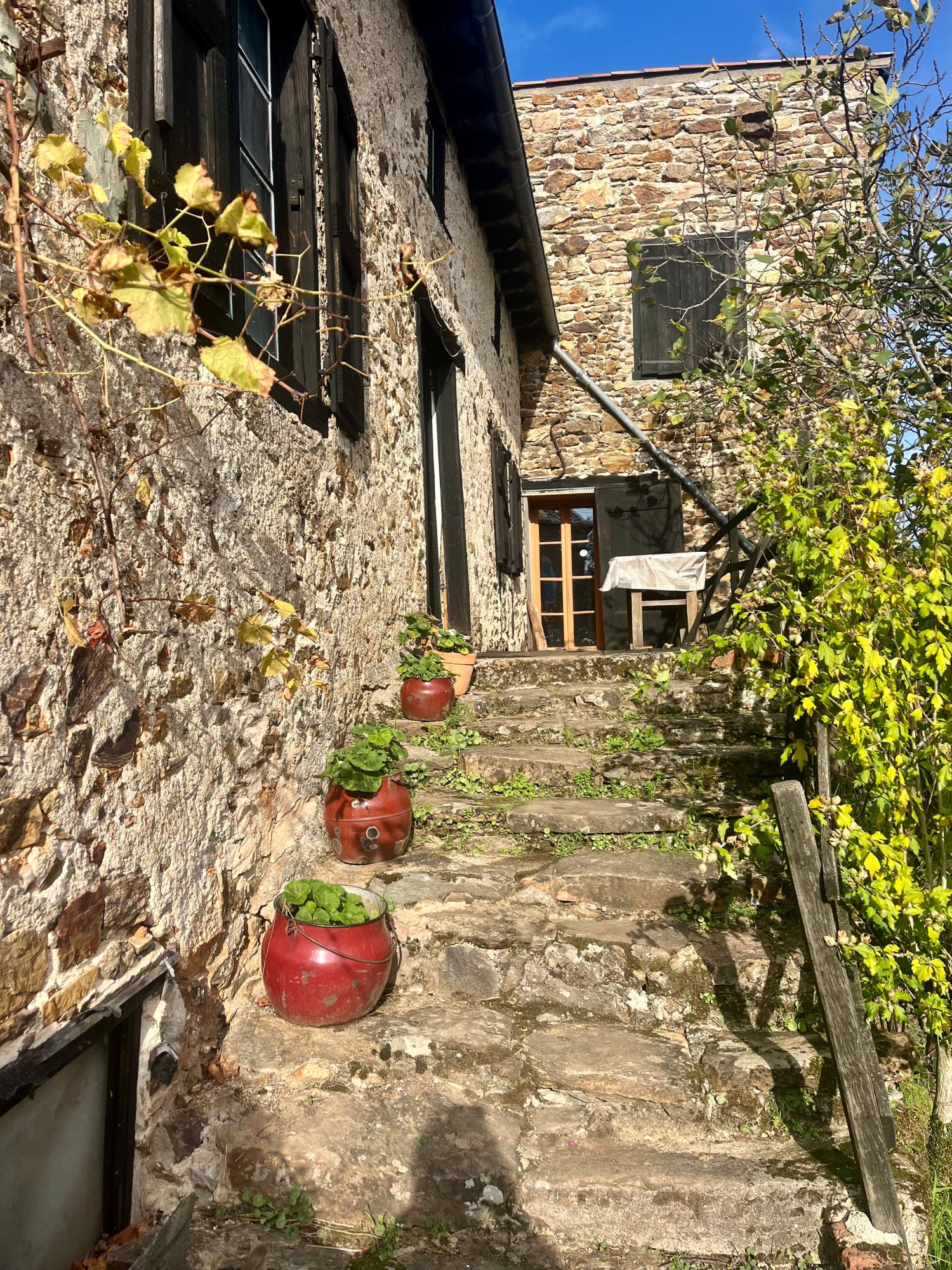  for sale farm Pampelonne Tarn 2
