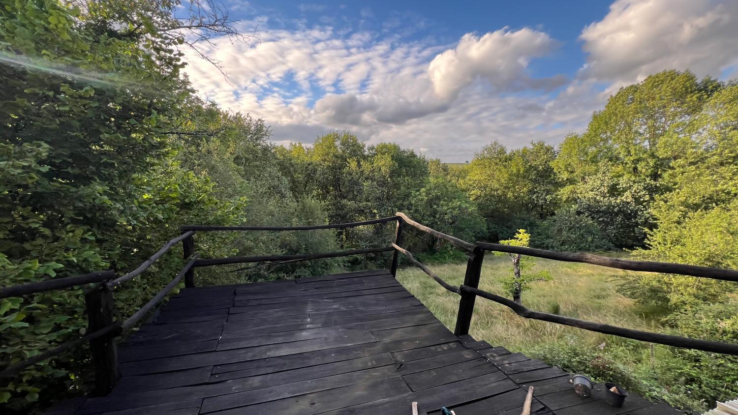  for sale farm Pampelonne Tarn 7