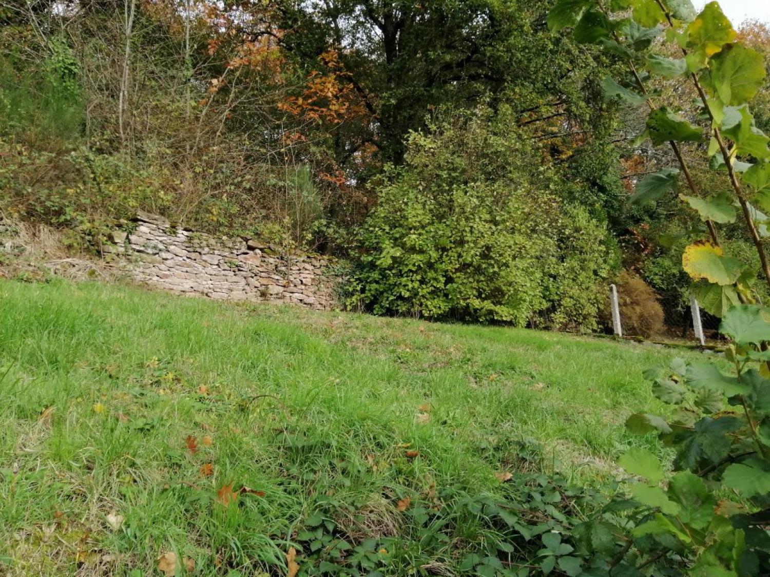  for sale house Saint-Denis-des-Murs Haute-Vienne 10