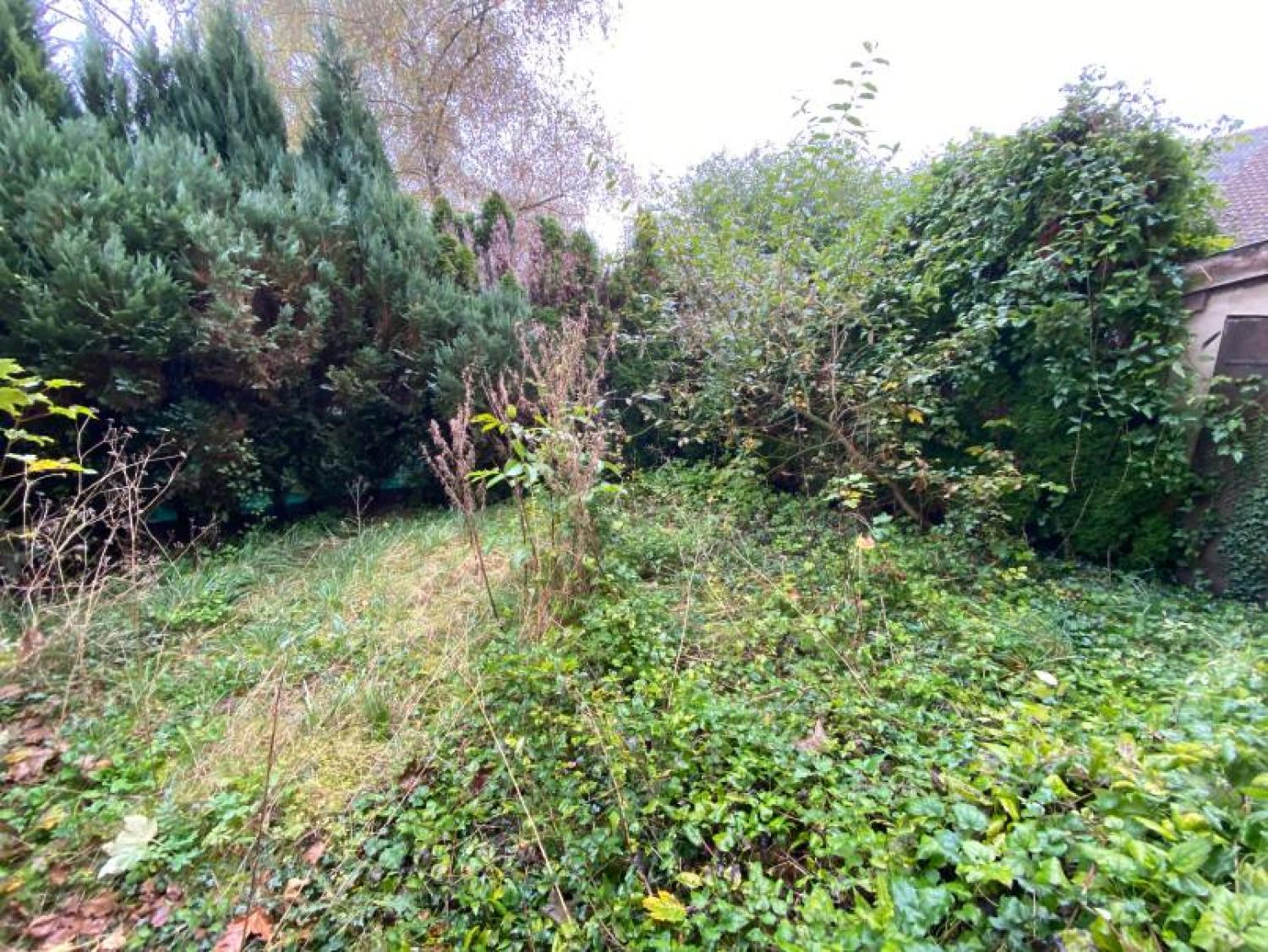  for sale village house Chalvraines Haute-Marne 9