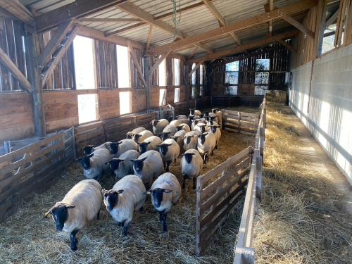  for sale farm Saint-Yrieix-la-Perche Haute-Vienne 8