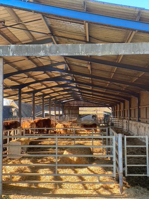  for sale farm Saint-Yrieix-la-Perche Haute-Vienne 6