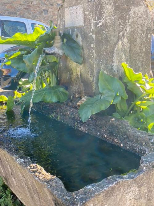  for sale farm Saint-Yrieix-la-Perche Haute-Vienne 12