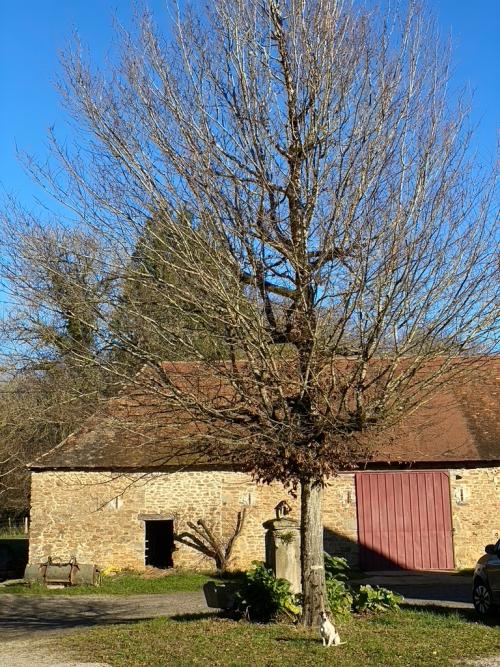  for sale farm Saint-Yrieix-la-Perche Haute-Vienne 4
