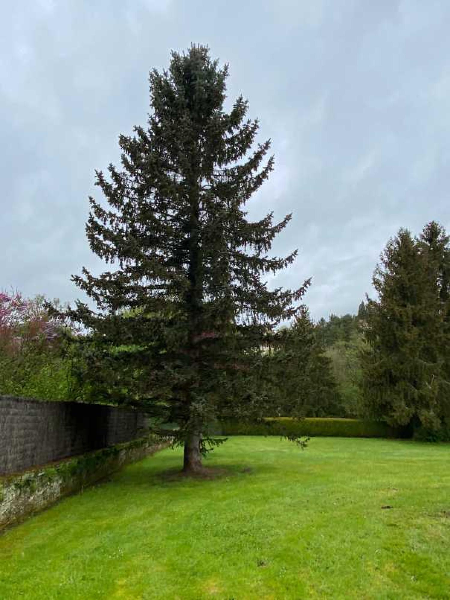  for sale mansion Monthureux-sur-Saône Vosges 41