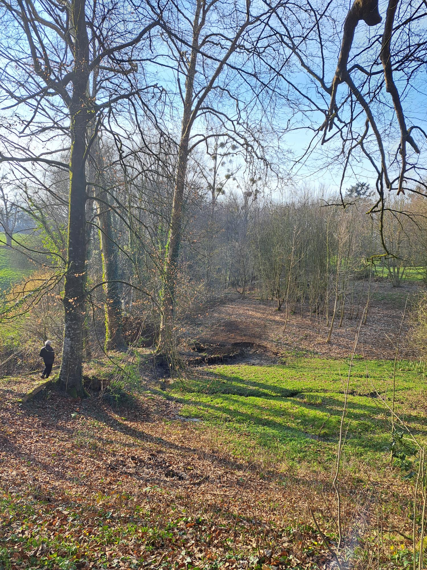  for sale property with holiday home Avranches Manche 9