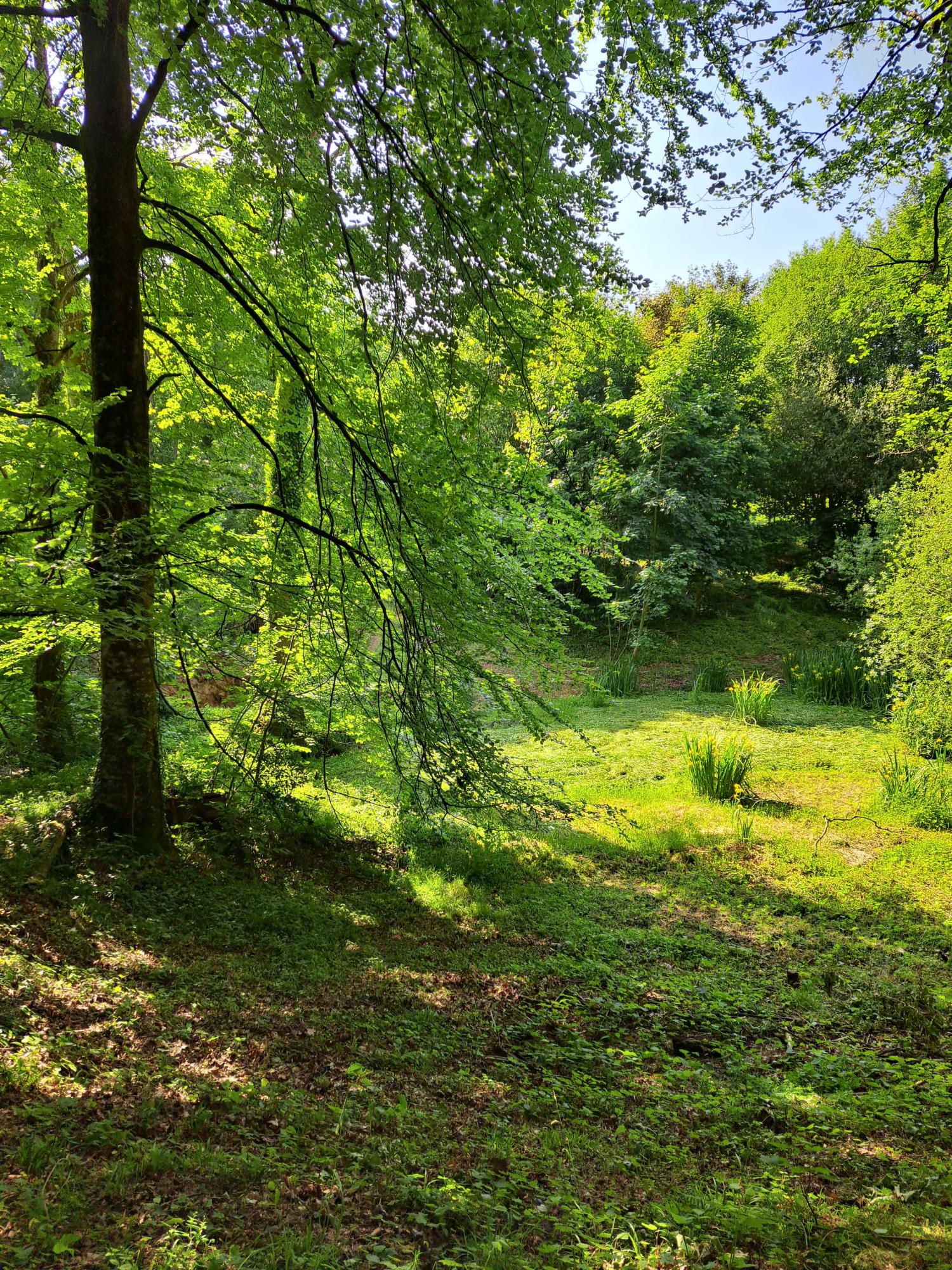  for sale property with holiday home Avranches Manche 16