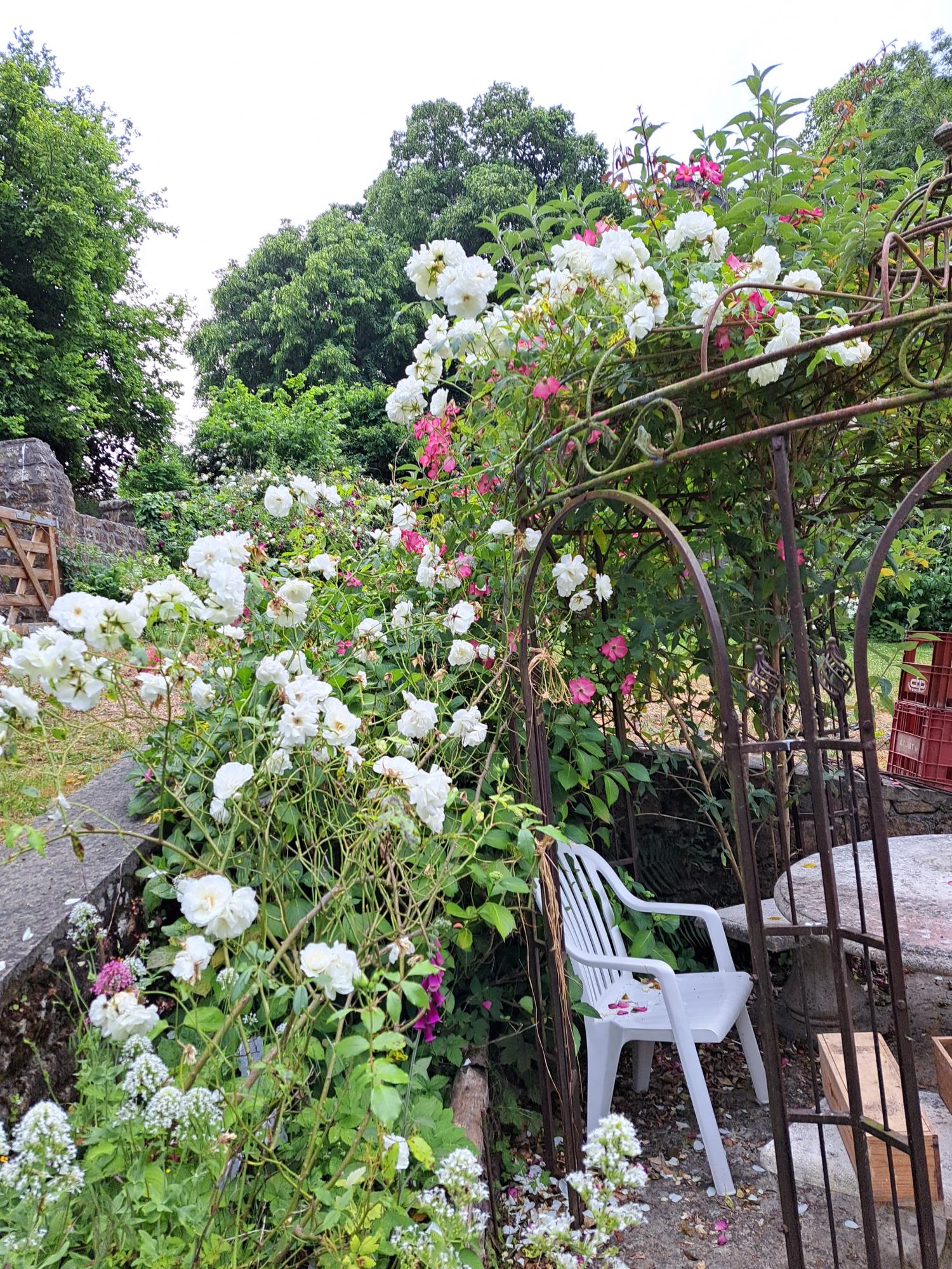  for sale property with holiday home Avranches Manche 43
