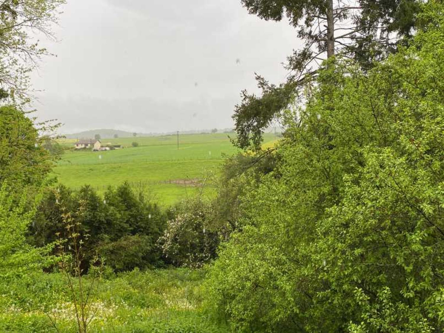  for sale village farm Rosoy-sur-Amance Haute-Marne 8