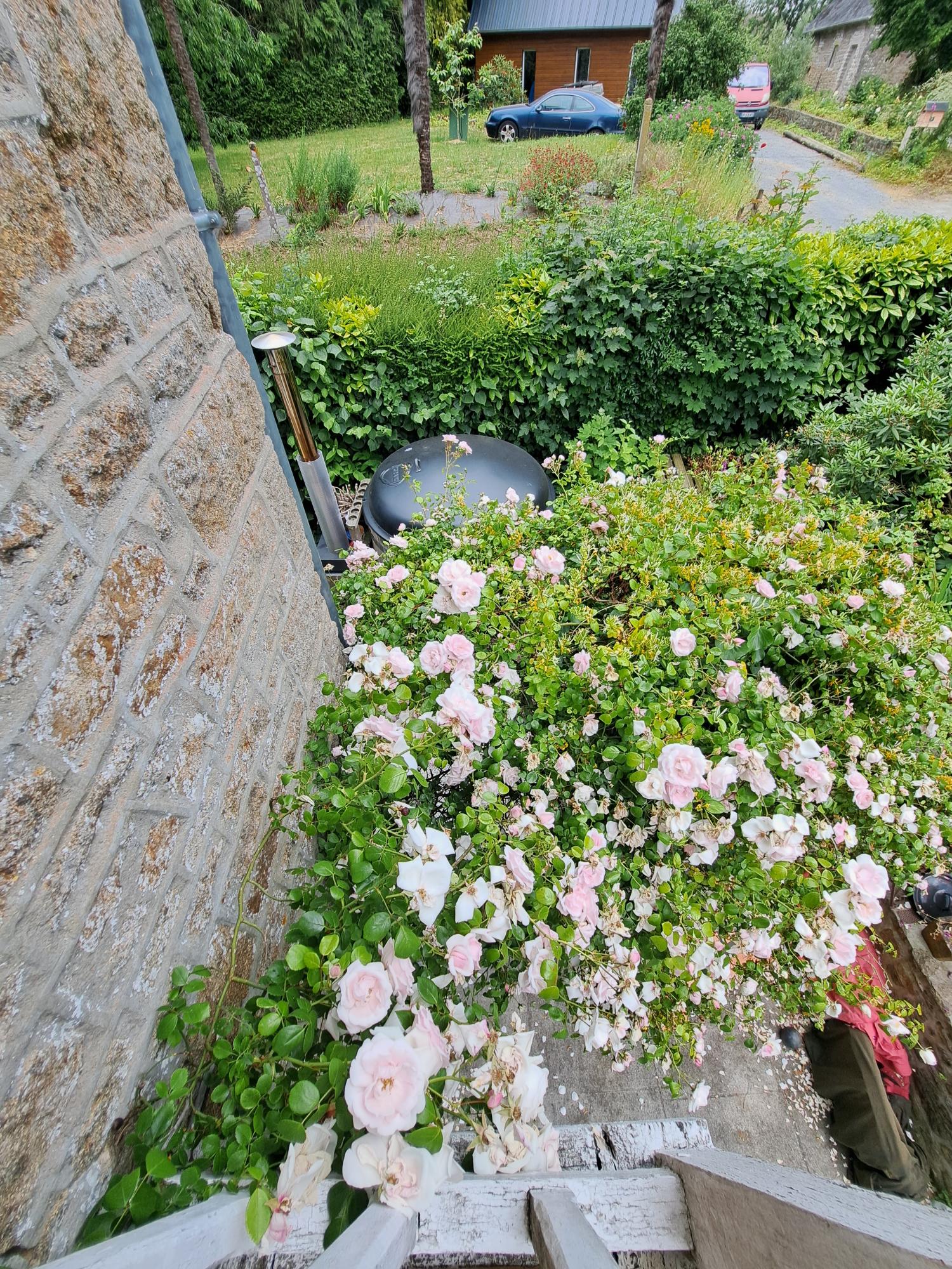  for sale property with holiday home Avranches Manche 42