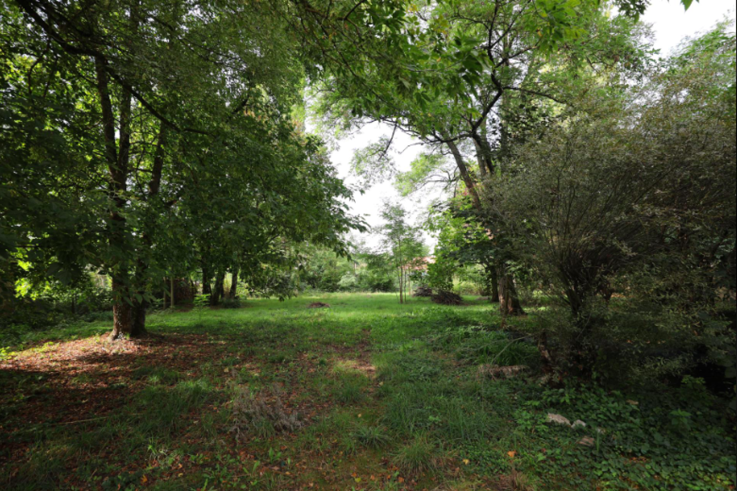  for sale mansion Fresne-Saint-Mamès Haute-Saône 10