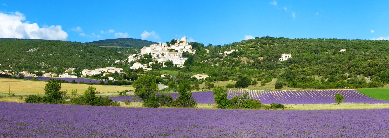  for sale property with holiday home Banon Alpes-de-Haute-Provence 61