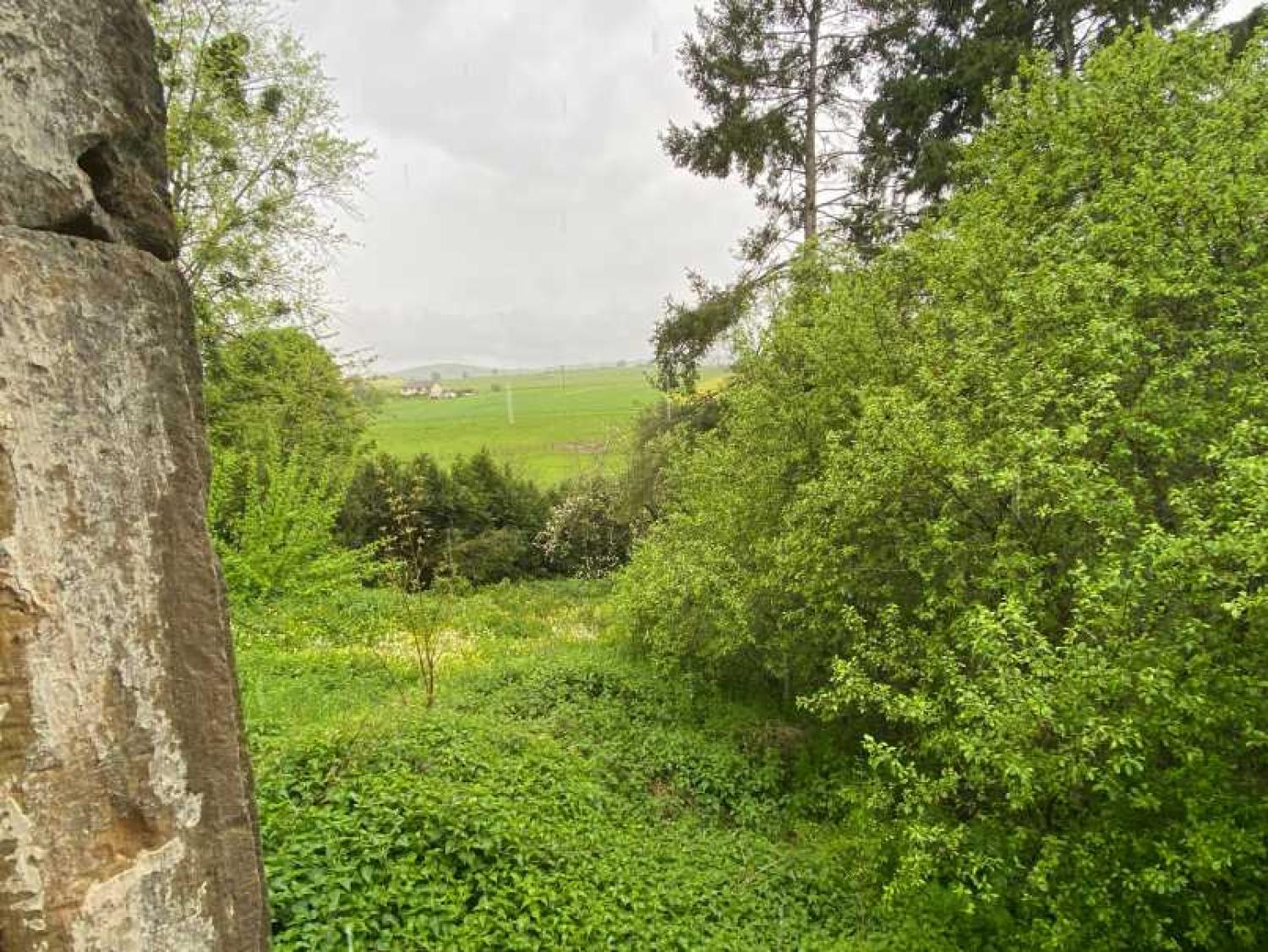  for sale village farm Rosoy-sur-Amance Haute-Marne 7