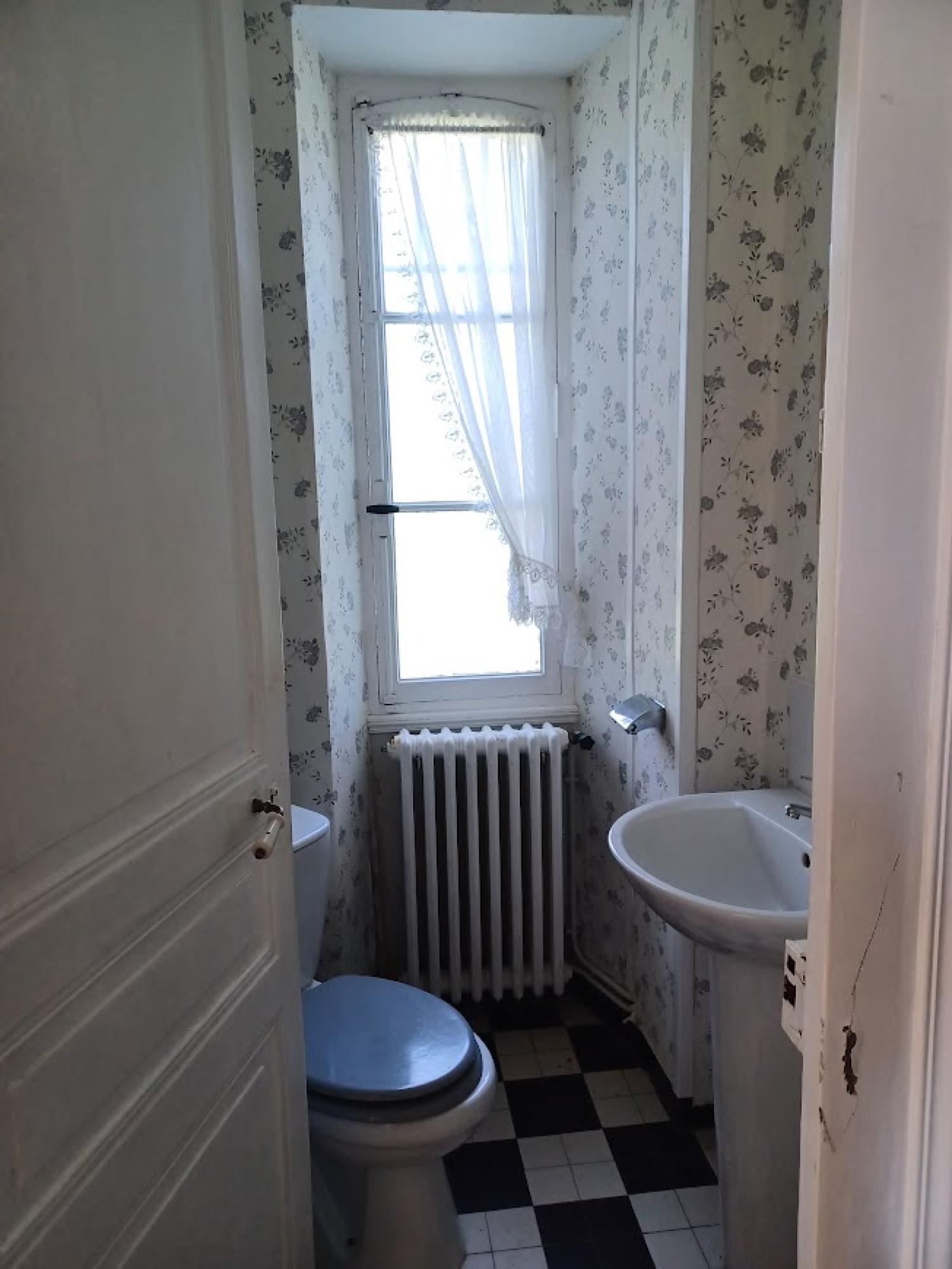  for sale detached house Cuzion Indre 12