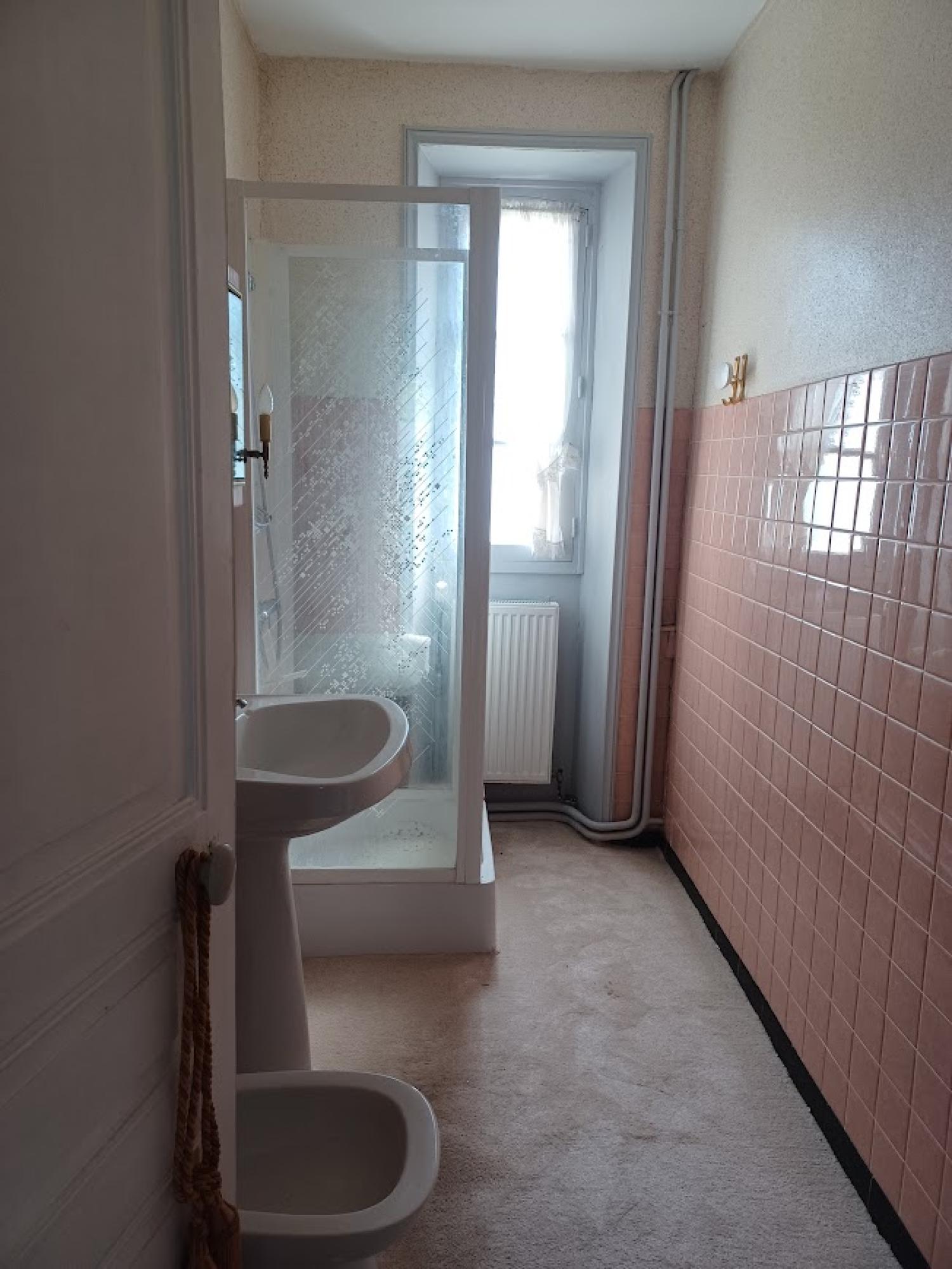  for sale detached house Cuzion Indre 19