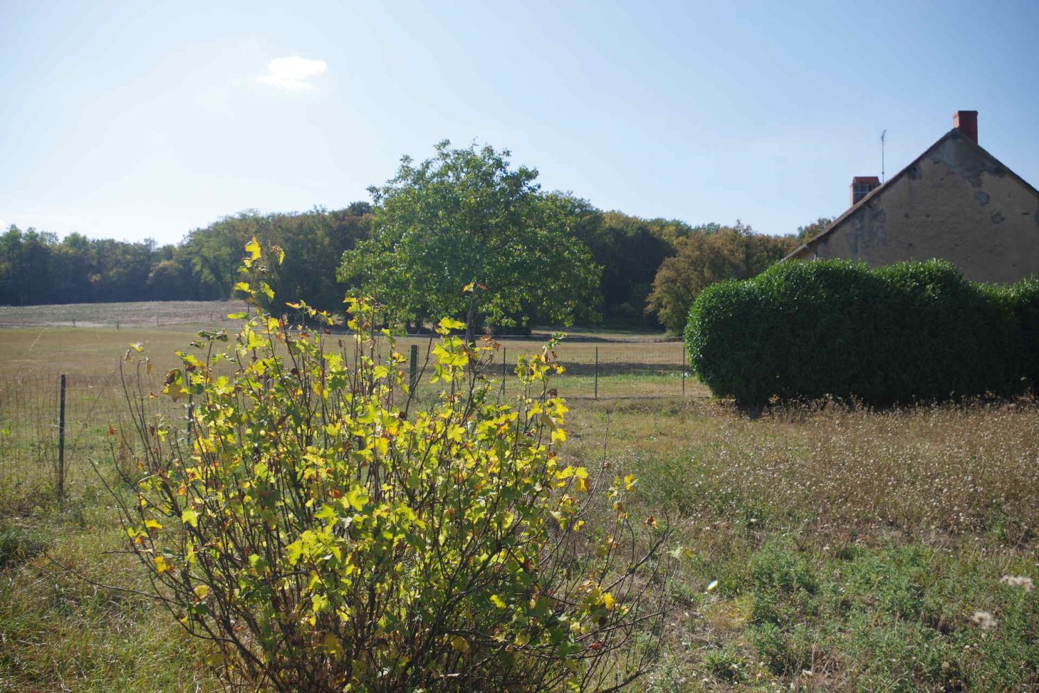  for sale house Rouy Nièvre 4