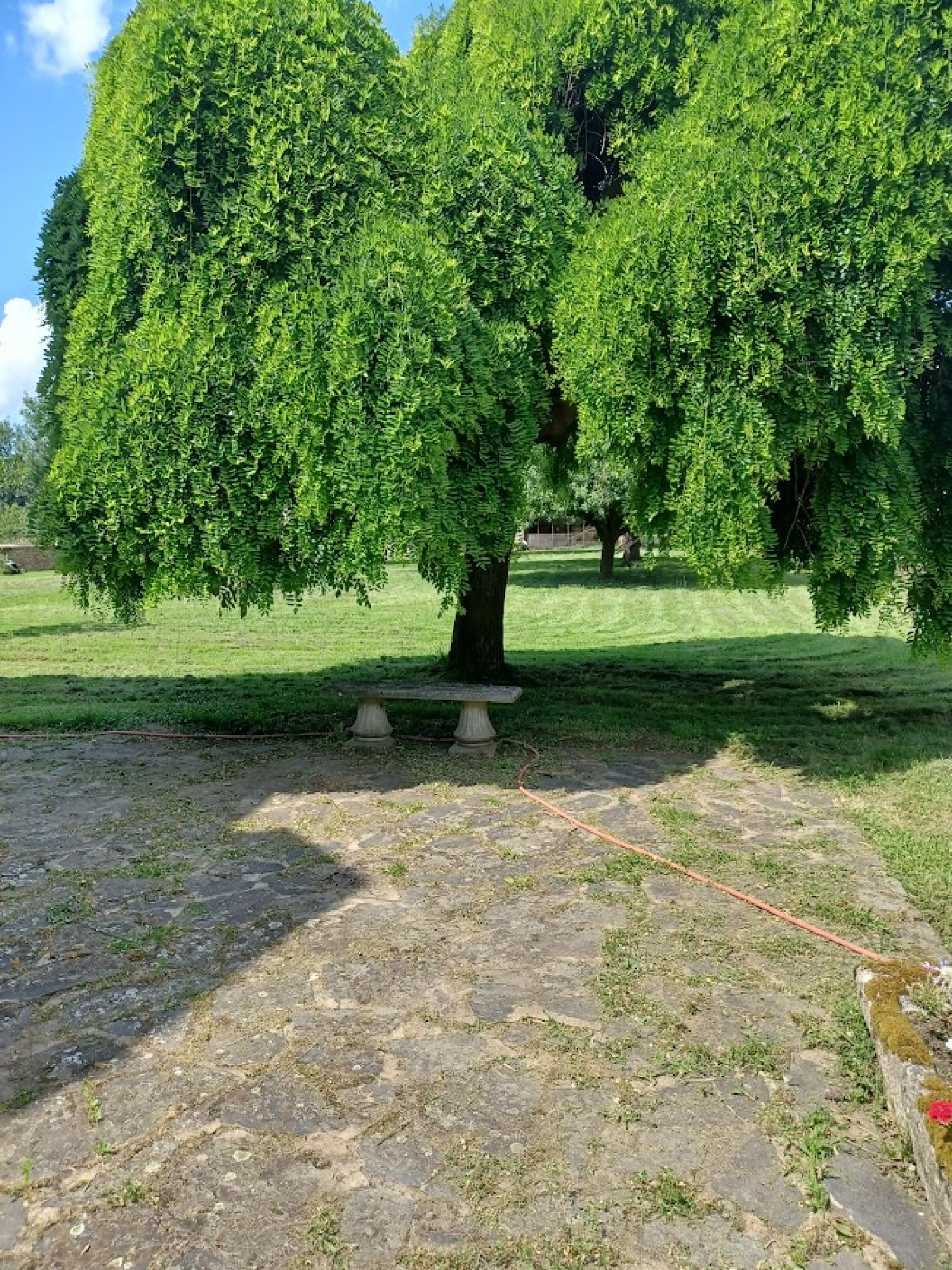  for sale detached house Cuzion Indre 30