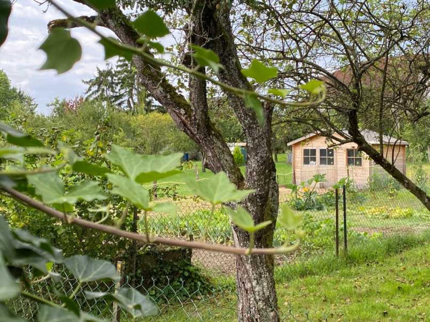  for sale village farm Melay Haute-Marne 33