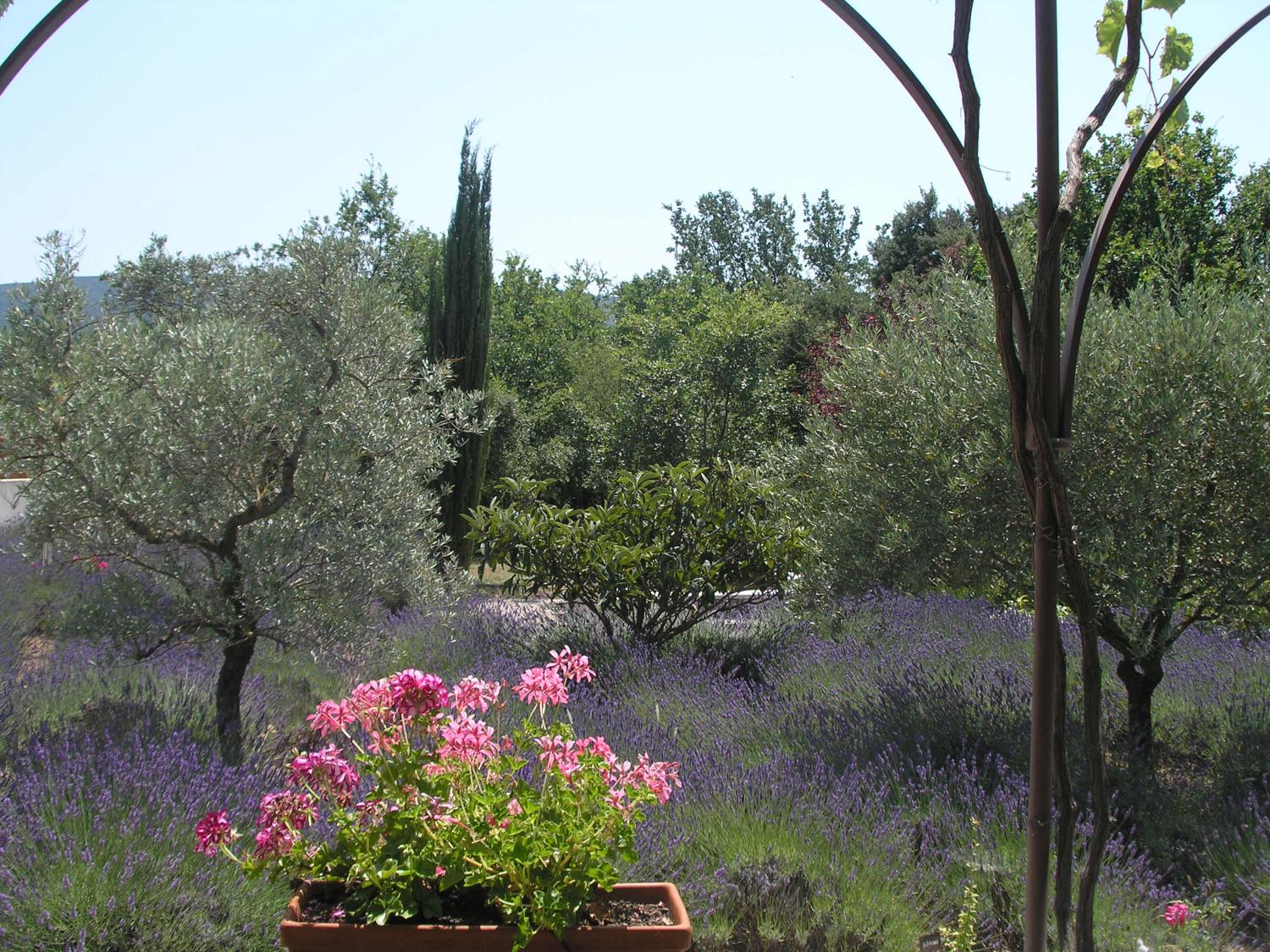  for sale bed and breakfast Lacoste Vaucluse 4