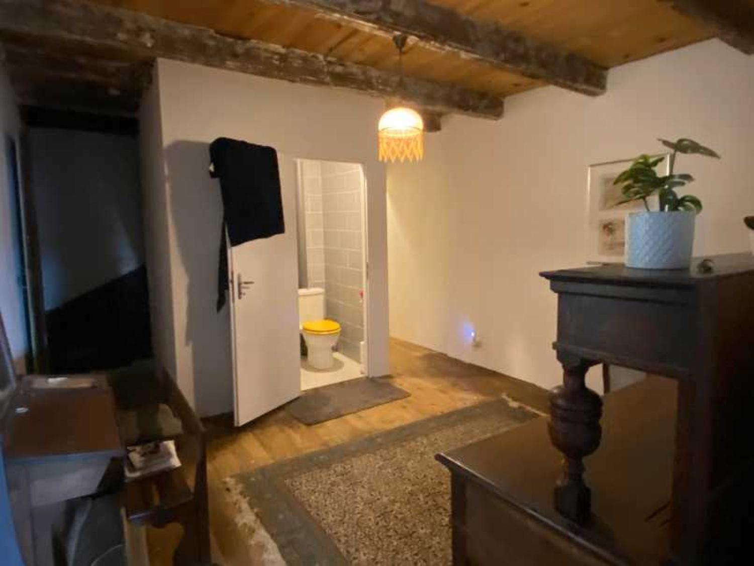  for sale village farm Melay Haute-Marne 17