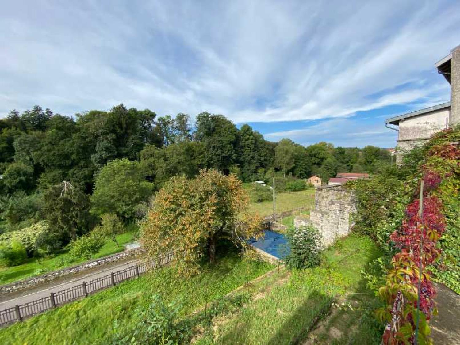  for sale mansion Darney Vosges 36